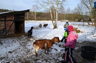 Unsere Tiere freuen sich immer über eure Streicheleinheiten.