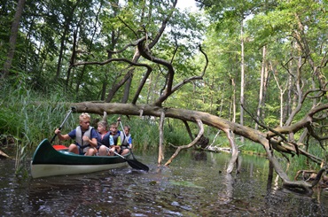 Kanutour zum kleinen Brückentinsee