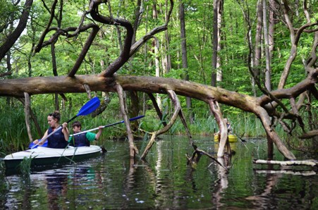 Uriger Wasserpfad zum kleinen Brückentinsee