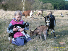 Lotti und die Zicklein